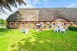 Terrasse - Ferienwohnung Ole - Reet und Erholung - Ringsberg bei Glücksburg - Top-Hundeurlaub