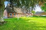 Gartenblick - Ferienwohnung Ole - Reet und Erholung - Ringsberg bei Glücksburg - Top-Hundeurlaub