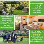 Top-Hundeurlaub Ferienwohnung Am Wolfstein Bad Harzburg im wunderschönen Harz - Top-Hundeurlaub