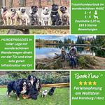 Top-Hundeurlaub Ferienwohnung Am Wolfstein Bad Harzburg im wunderschönen Harz - Top-Hundeurlaub