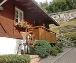 Gemütliches hundefreundliches Ferienhaus Kaltenbronn im Schwarzwald - Top-Hundeurlaub