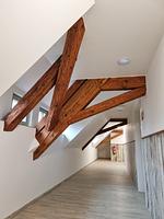 Apartment "Storch 3" - 5* - Top-Hundeurlaub