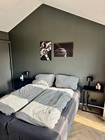 Chalet Reevemeer mit Steg IJE511 - Top-Hundeurlaub