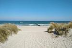 Strand - Ferienwohnung Seepferdchen - Top-Hundeurlaub