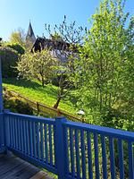 Gartenblick - Ferienwohnung "Sonnenschein" Apartment 44 - Top-Hundeurlaub