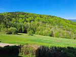 Gartenblick - Ferienwohnung "Sonnenschein" Apartment 44 - Top-Hundeurlaub