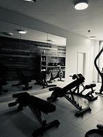 Aparthotel Sun Lodge Schladming - Top-Hundeurlaub