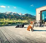 Boutique Aparthotel Chalets Coburg Schladming - Top-Hundeurlaub