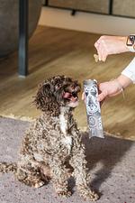 Boutique Aparthotel Chalets Coburg Schladming - Top-Hundeurlaub