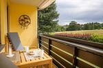FeWo Harzer Brockenblick bis zu 2 Hunde willkommen!  Sauna, 2x Smart TV - Top-Hundeurlaub