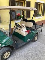 Urlaub mit Hund im Familienhotel Fasching - Top-Hundeurlaub