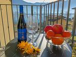 Panoramablick vom Balkon - Oasi Mera - Top-Hundeurlaub