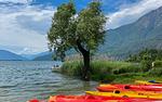 erkunden Sie den Comer See mit Kayaks - Oasi Mera - Top-Hundeurlaub