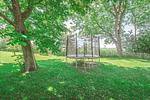 Trampolin - Friesenhof Benen Diken - Martje Floris - Top-Hundeurlaub