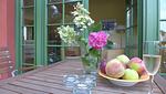 Balkon - Jagdhaus 2 OG - Top-Hundeurlaub