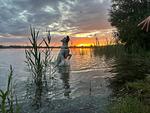 Willkommen in Markelfingen – auch für Ihren Hund 🐾 - Top-Hundeurlaub