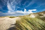 Strand - Dünenstraße 38 - Dünenzeit Juist - Top-Hundeurlaub