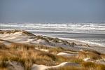 Strand - Sonnengruß - Top-Hundeurlaub