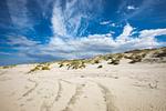 Strand - Sonnengruß - Top-Hundeurlaub
