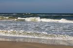Strand - 106 Kleine Welle - Top-Hundeurlaub