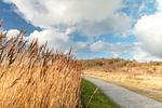 Landschaft - 106 Kleine Welle - Top-Hundeurlaub