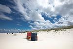 Strand - Miss Evans - Top-Hundeurlaub