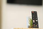 TV / Multimedia - Ferienwohnung Achterdeck Eckernförde - Top-Hundeurlaub