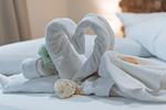 Dekoratives Detail - Hotel Seepferdchen | Zimmer 1 | Eckernförde - Top-Hundeurlaub