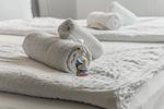 Dekoratives Detail - Ferienwohnung | Nordwind Quartier | Dein Fenster zur Eckernförder Bucht - Top-Hundeurlaub