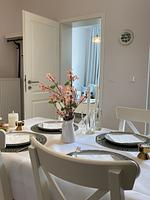 Küche / Küchenzeile - Villa Johanna  App.1 - mit zwei Balkonen & Garten - nur wenige Schritte vom Strand - Top-Hundeurlaub