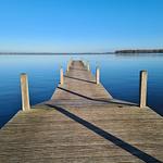 Chalet Villa MiaMari Nr. Zuiderzee 12 - Top-Hundeurlaub