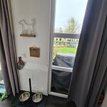 Chalet Villa MiaMari Nr. Zuiderzee 12 - Top-Hundeurlaub