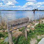 Chalet Villa MiaMari Nr. Zuiderzee 12 - Top-Hundeurlaub