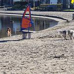 Chalet Villa MiaMari Nr. Zuiderzee 12 - Top-Hundeurlaub