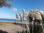 Chalet Villa MiaMari Nr. Zuiderzee 12 - Top-Hundeurlaub