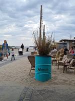 Chalet Villa MiaMari Nr. Zuiderzee 12 - Top-Hundeurlaub
