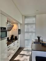 Chalet am Wasser für 6 Personen Nr. Zuiderzee 21 - Top-Hundeurlaub