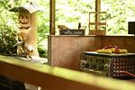 Ferienwohnung Alpenlodge in Grainau - Top-Hundeurlaub