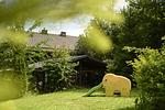 Ferienwohnung Alpenlodge in Grainau - Top-Hundeurlaub