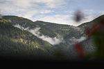 Ferienwohnung Alpenlodge in Grainau - Top-Hundeurlaub