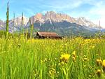 Ferienwohnung Alpenlodge in Grainau - Top-Hundeurlaub