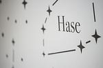Sternenhimmel - Ferienwohnung "Hase" Nr. 8 in Oberammergau - Top-Hundeurlaub