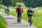 Ferienwohnung Merlin Ausguck Röbel/Müritz - Fahrradtouren Röbel - Merlin Ausguck - Top-Hundeurlaub