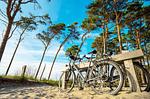 Ferienwohnung Boddendeck Ostseebad Wustrow ZweiWasser Alte Seefahrtschule Umgebung - Boddendeck - Top-Hundeurlaub