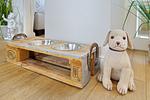 Dekoratives Detail - Sylter Stubn(R) - Top-Hundeurlaub