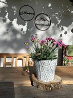 DAHOAMdeluxe Ferienwohnung mit Garten - Top-Hundeurlaub