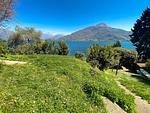 Garten - Rustico - Top-Hundeurlaub