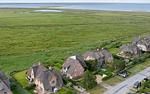 Vogelperspektive - Listend Blick - Top-Hundeurlaub