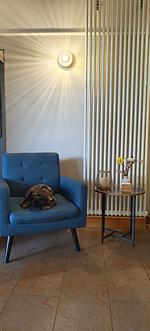 Hotel Siebeneichen - Top-Hundeurlaub