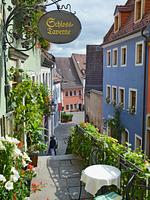 Hotel Siebeneichen - Top-Hundeurlaub